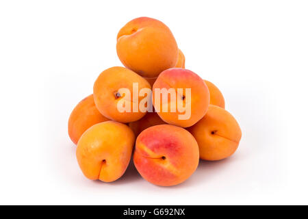 Pila di fresche e mature albicocche organico isolato su uno sfondo bianco Foto Stock