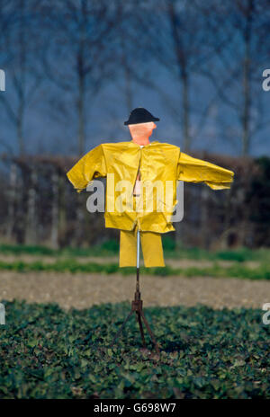 Lo Spaventapasseri in inglese il paesaggio da Colin Garratt Foto Stock