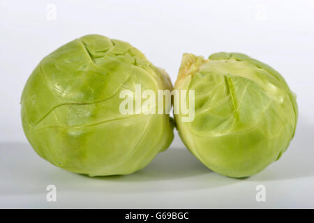 Germoglio di Bruxelles / (Brassica oleracea var. gemmifera) Foto Stock