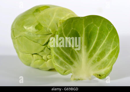 Germoglio di Bruxelles / (Brassica oleracea var. gemmifera) Foto Stock