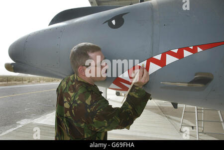 La bacca Adrian CPL dipinge i denti e gli occhi degli squali su un Harrier GR7 della British Royal Air Force, in quanto il maltempo impedisce di volare dalla loro base in Kuwait. * questa è la prima volta che un Harrier britannico GR7 è stato dipinto in questo modo, con l'aereo che è stato decorato solo come questo durante i periodi di conflitto reale. Foto Stock