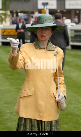 The Princess Royal durante il secondo giorno del weekend Betfair del 2013 presso l'ippodromo Ascot, Berkshire. Foto Stock