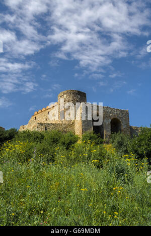 Il castello di Devin in Slovacchia Foto Stock