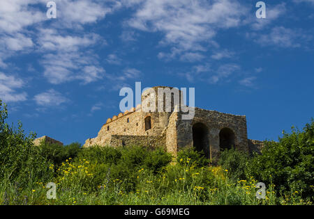 Il castello di Devin in Slovacchia Foto Stock