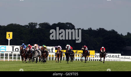 Corse ippiche - Weekend Betfair 2013 - Day One - Ascot Racecourse. Gabbiano (a sinistra), guidato da Robert Tart, vince le Stake per handicap John Guest durante il primo giorno del 2013 Betfair Weekend all'Ascot Racecourse di Ascot. Foto Stock