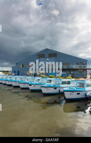 Un edificio di uffici e presso il Parco Nazionale Broads cantiere Haven e marina per vacanza noleggio barca a Wroxham in Norfolk chiodi REGNO UNITO Foto Stock