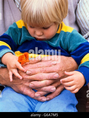 Anni ottanta close-up del nonno di braccia avvolto intorno al piccolo ragazzo biondo seduto sul suo giro guardando giù al FLOWER ENTRAMBI SONO HOLDING Foto Stock