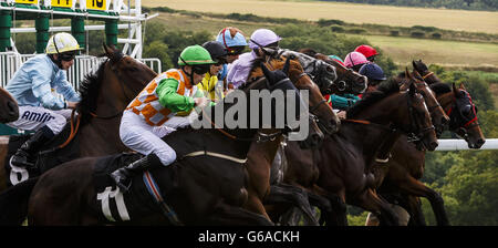Horse Racing - 2013 gloriosa Goodwood Festival - Giorno 4 - Ippodromo di Goodwood Foto Stock