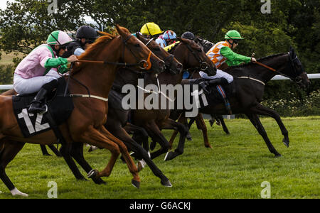 Il campo scoppia dalle bancarelle per l'inizio del Betfred Mobile Lotto Stakes durante il quarto giorno del glorioso Goodwood presso l'ippodromo di Goodwood, Chichester. Foto Stock