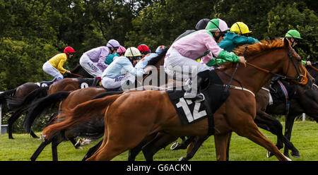 Il campo scoppia dalle bancarelle per l'inizio del Betfred Mobile Lotto Stakes durante il quarto giorno del glorioso Goodwood presso l'ippodromo di Goodwood, Chichester. Foto Stock