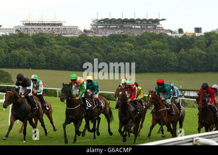 Horse Racing - 2013 gloriosa Goodwood Festival - Giorno 4 - Ippodromo di Goodwood Foto Stock