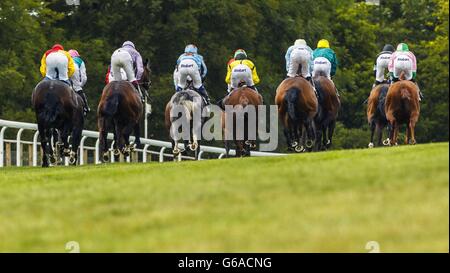Il campo corre in salita dall'inizio del Betfred Mobile Lotto Stakes durante il quarto giorno di glorioso Goodwood presso l'ippodromo di Goodwood, Chichester. Foto Stock