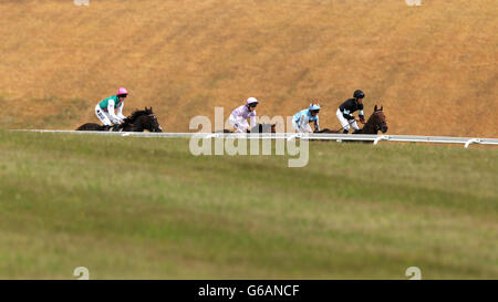 I cavalli corrono nell'handicap mobile lotto Betfred durante il quarto giorno del glorioso Festival Goodwood del 2013 all'ippodromo di Goodwood Foto Stock