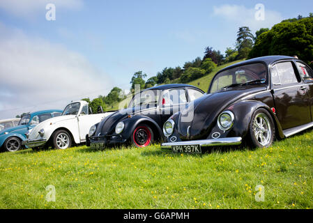 Linea di Classic VW Beetle automobili presso un VW mostra. Stoner Park, Oxfordshire, Inghilterra Foto Stock