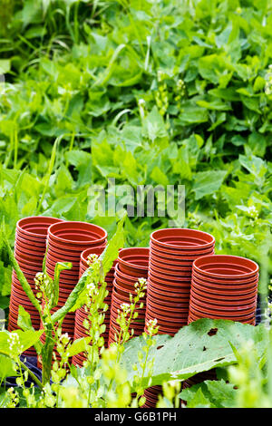 Pile di vasi di plastica tra la vegetazione sovradimensionate Foto Stock