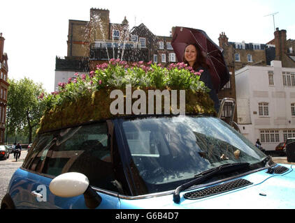 Shona Martin, di 24 anni da Leeds, accanto a una Mini Cooper 'S' auto con giardini appositamente progettati sui loro tetti - creato da Luna Stein fioristi a Fulham, Londra - guidando su Chelsea Bridge per coincidere con l'apertura del Chelsea Flower Show 2003. * i proprietari dei nuovi Mini potranno ora creare i propri design unici per adornare i tetti della loro auto. Foto Stock