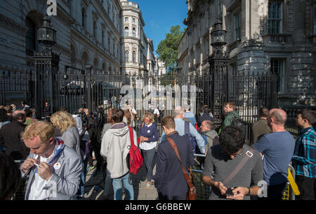 A Downing Street, Londra, Regno Unito. Il 24 giugno 2016. Il PM David Cameron annuncia la sua decisione di passaggio verso il basso dalla leadership prima di ottobre 2016 alla luce dell'UE esito del referendum. La folla si riuniscono fuori dai cancelli per No.10 guardando gli eventi si susseguono. Credito: Malcolm Park editoriale/Alamy Live News. Foto Stock