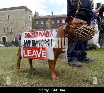 Protestando cane a College Green, Westminster, London sul Referendum UE risultato giorno Foto Stock