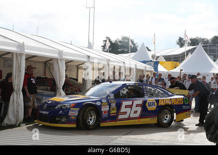 Goodwood, West Sussex, Regno Unito. Il 24 giugno 2016. Immagine del paddock, Goodwood, West Sussex, Regno Unito, 24.6.16 Credito: Malcolm Greig/Alamy Live News Foto Stock