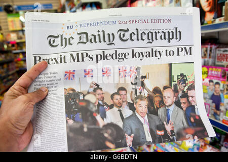 Londra, Regno Unito 24 Giugno 2016 - un lettore legge la pagina anteriore del Daily Telegraph. Quotidiano britannico anteriore di copertura delle pagine il giorno dopo il referendum UE voto. Credito: Dinendra Haria/Alamy Live News Foto Stock