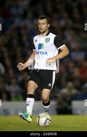 Calcio - Pre-Season friendly - Brighton & Hove Albion v Norwich City - AMEX Stadium. Jonathan Howson, Norwich City Foto Stock