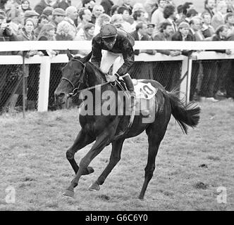 Joe Mercer dell ultima gara. Foto Stock