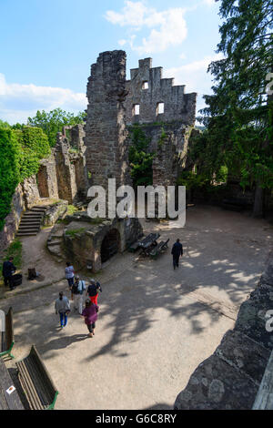 Il castello di Zavelstein, Bad Teinach-Zavelstein, Germania, Baden-Württemberg, Schwarzwald, Foresta Nera Foto Stock