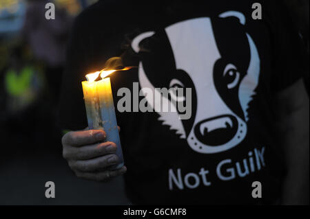 Un protetore a Minehead durante un evento di veglia a lume di candela organizzato da Somerset Badger Patrol, contro il cull pianificato. Foto Stock