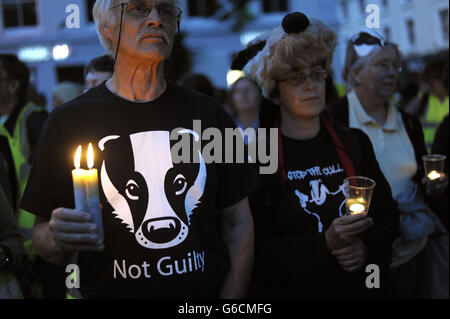Badger cull protesta Foto Stock