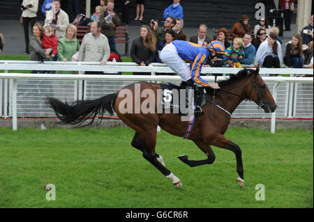 Horse Racing - Moyglare Stud Stakes giorno - Il Curragh Foto Stock