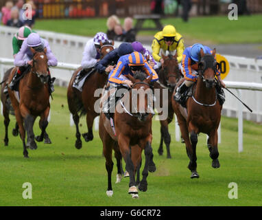 Horse Racing - Moyglare Stud Stakes giorno - Il Curragh Foto Stock