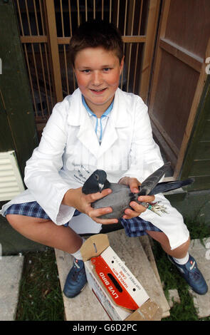 Harry Taylor, di 13 anni, si trova a Weston, in Avon, con il giovane piccione che ricevette dal loft Sandringham della Regina. Harry scrisse alla Regina come patrona della Royal Pigeon Racing Association, per chiedere se avesse un paio di uccelli che avrebbe donato a lui. * Harry, ha detto che era scioccato ricevere una lettera che gli offriva una coppia dei piccioni della regina. Foto Stock