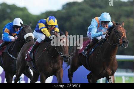 Il Chief Barker guidato da Richard Hughes (a destra) batte Chriselliam guidato da Gerald mosse per vincere la Betfred TV Stakes durante il Betfred Sprint Cup Festival all'ippodromo di Haydock Park, Newton-le-Willows. Foto Stock