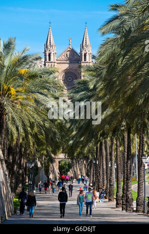 Vista verticale della gente che cammina lungo il Passeig de Sagrera a Palma di Maiorca. Foto Stock