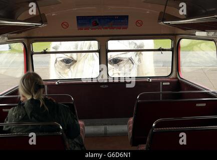 La più grande marionetta di orsi polari del mondo è vista dall'interno di un autobus di Londra, come è svelata da Greenpeace a North Weald Airfield in Essex. L'orso è stato fatto guidare una sfilata artica attraverso il centro di Londra il 15 settembre per evidenziare la necessità di una maggiore protezione per l'Artico. Foto Stock