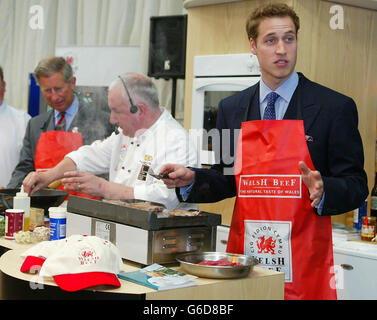 Prince William - Il Galles visita Foto Stock