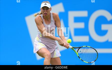 Caroline WOZNIACKI della Danimarca la riproduzione di Samantha STOSUR dell Australia durante il Aegon International in Devonshire Park a Eastbourne. Giugno 21, 2016. James Boardman / Immagini teleobiettivo +44 7967 642437 Foto Stock