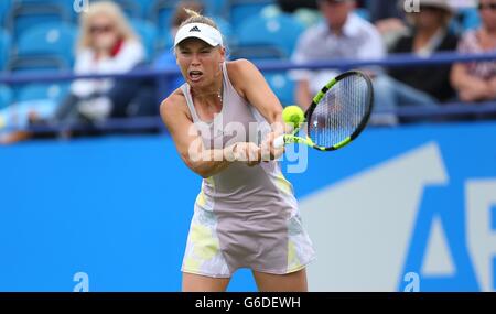 Caroline WOZNIACKI della Danimarca la riproduzione di Samantha STOSUR dell Australia durante il Aegon International in Devonshire Park a Eastbourne. Giugno 21, 2016. James Boardman / Immagini teleobiettivo +44 7967 642437 Foto Stock