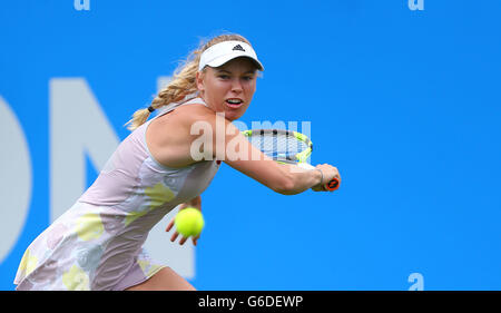 Caroline WOZNIACKI della Danimarca la riproduzione di Samantha STOSUR dell Australia durante il Aegon International in Devonshire Park a Eastbourne. Giugno 21, 2016. James Boardman / Immagini teleobiettivo +44 7967 642437 Foto Stock