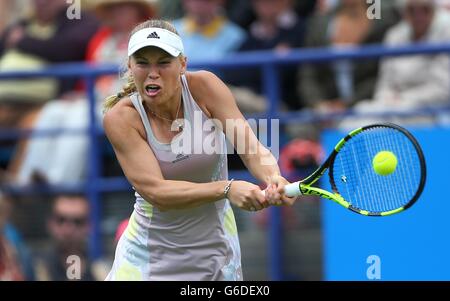 Caroline WOZNIACKI della Danimarca la riproduzione di Samantha STOSUR dell Australia durante il Aegon International in Devonshire Park a Eastbourne. Giugno 21, 2016. James Boardman / Immagini teleobiettivo +44 7967 642437 Foto Stock