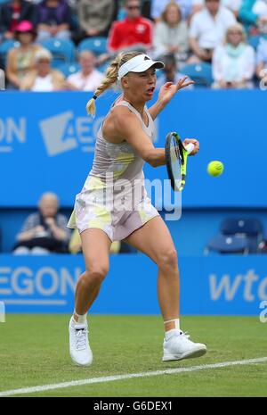 Caroline WOZNIACKI della Danimarca la riproduzione di Samantha STOSUR dell Australia durante il Aegon International in Devonshire Park a Eastbourne. Giugno 21, 2016. James Boardman / Immagini teleobiettivo +44 7967 642437 Foto Stock