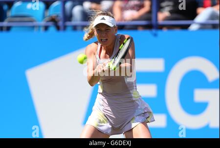 Caroline WOZNIACKI della Danimarca la riproduzione di Samantha STOSUR dell Australia durante il Aegon International in Devonshire Park a Eastbourne. Giugno 21, 2016. James Boardman / Immagini teleobiettivo +44 7967 642437 Foto Stock