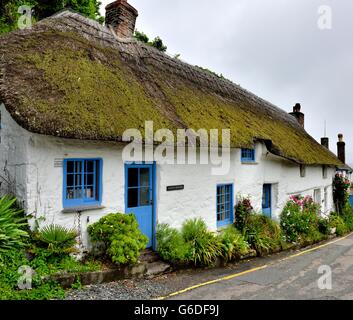 Cottage con il tetto di paglia in Cornish villaggio di pescatori di Cadgwith Cornwall Inghilterra REGNO UNITO Foto Stock