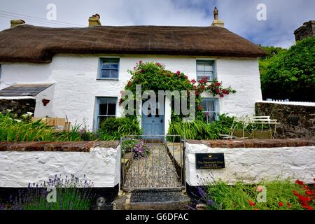 Con il tetto di paglia casa vacanze cottage in Cornish villaggio di pescatori di Cadgwith Cornwall Inghilterra REGNO UNITO Foto Stock