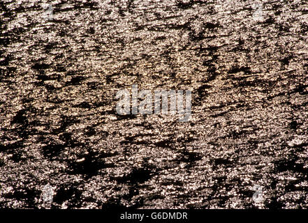 La luce del sole riflessioni sulle alghe; irrigazione laghetto; fattoria rurale nella parte orientale della Pennsylvania, STATI UNITI D'AMERICA Foto Stock
