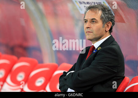 Calcio - Coppa del Mondo FIFA qualifiche - GRUPPO C - Austria v Repubblica di Irlanda - Ernst Happel Stadium Foto Stock