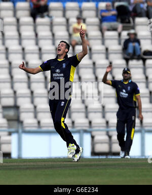 Chris Wood dell'Hampshire celebra la partecipazione al wicket di Gareth Rees di Glamorgan durante la partita semi finale di Clydesdale Bank Pro40 presso l'Ageas Bowl, Southampton. Foto Stock