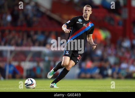 Calcio - Capital One Cup - Second Round - Bristol City / Crystal Palace - Ashton Gate. Peter Ramage del Crystal Palace durante la partita Capital One Cup, Second Round all'Ashton Gate, Bristol. Foto Stock