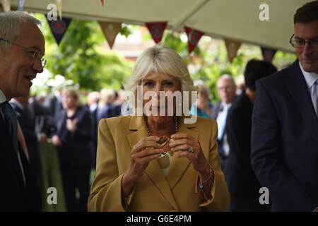 La Duchessa di Cornovaglia cerca di produrre durante un ricevimento per celebrare il 21° anniversario dei prodotti originali Ducati alla Clarence House, Londra. PREMERE ASSOCIAZIONE foto. Data immagine: Mercoledì 11 settembre 2013. La reception si è tenuta nei giardini della Clarence House, e ha partecipato da fornitori Ducati, Waitrose e altri grossisti internazionali, clienti, beneficiari di beneficenza e rappresentanti di alcune delle associazioni di beneficenza che beneficiano della vendita dei prodotti. Guarda la storia di Royal Charles, Pennsylvania. Il credito fotografico dovrebbe essere: DaN Kitwood/PA Wire Foto Stock