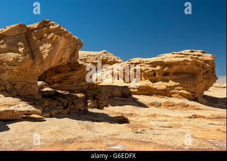 In cima alla scogliere di arenaria di El Malpais Monumento Nazionale vicino a sovvenzioni, Nuovo Messico Foto Stock